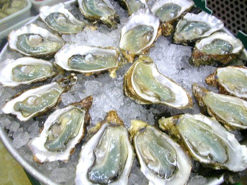 dollar oysters.jpg